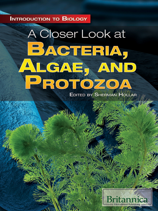 Cover of A Closer Look at Bacteria, Algae, and Protozoa